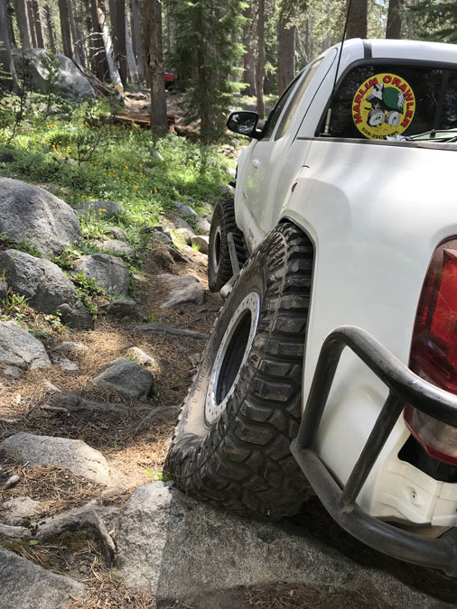 rear-trail-flex02.jpg