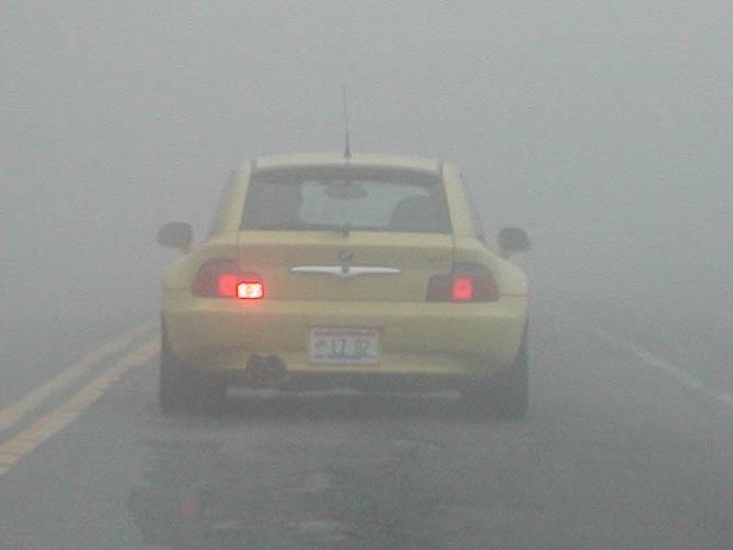 RearFogs2.jpg