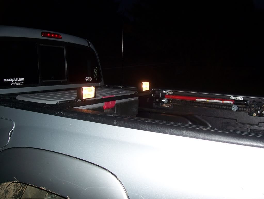 Rearlights2008_ece9889737503c65d0b7045ba304d51ac5128c1d.jpg
