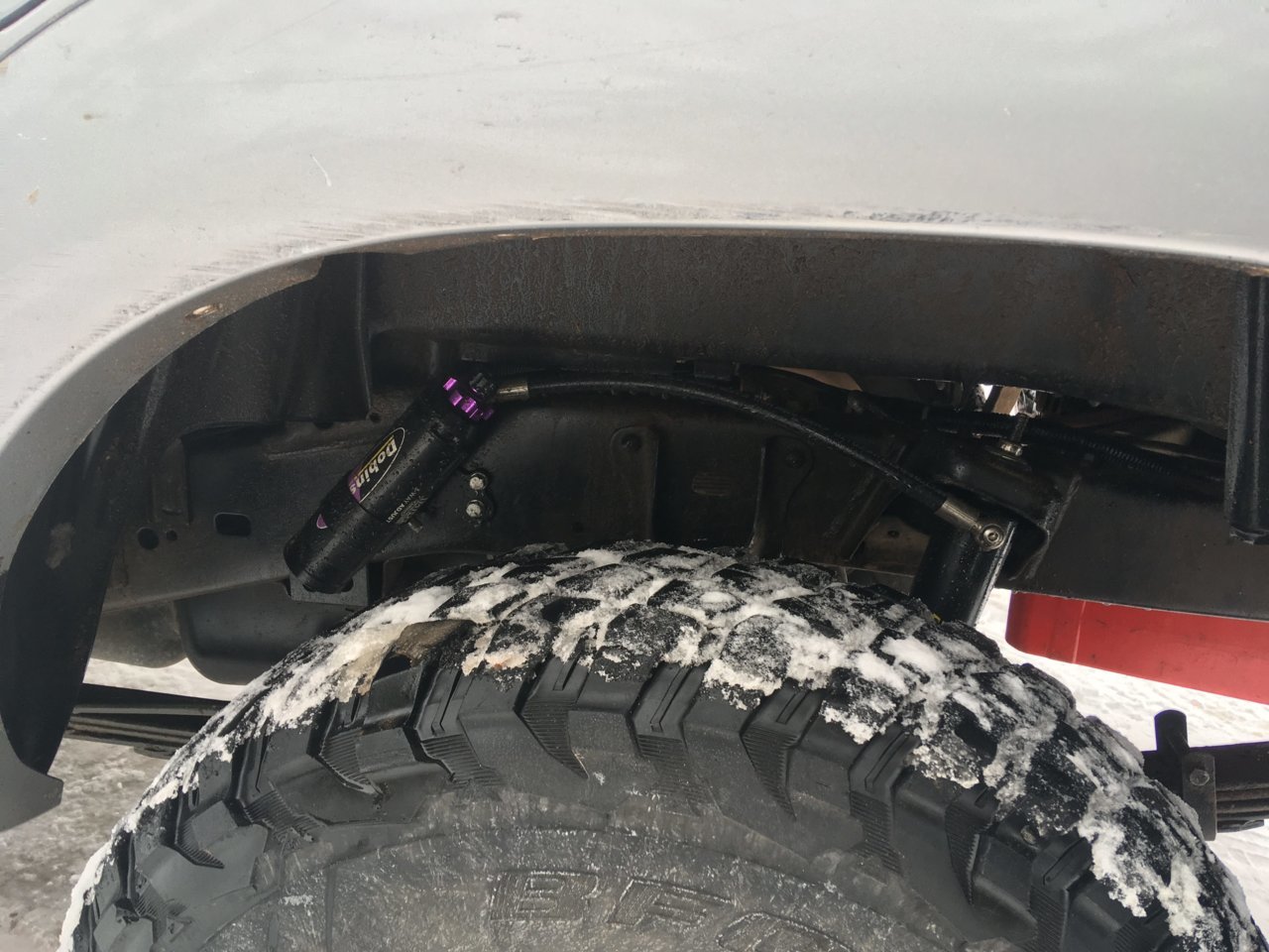 Rears.jpg