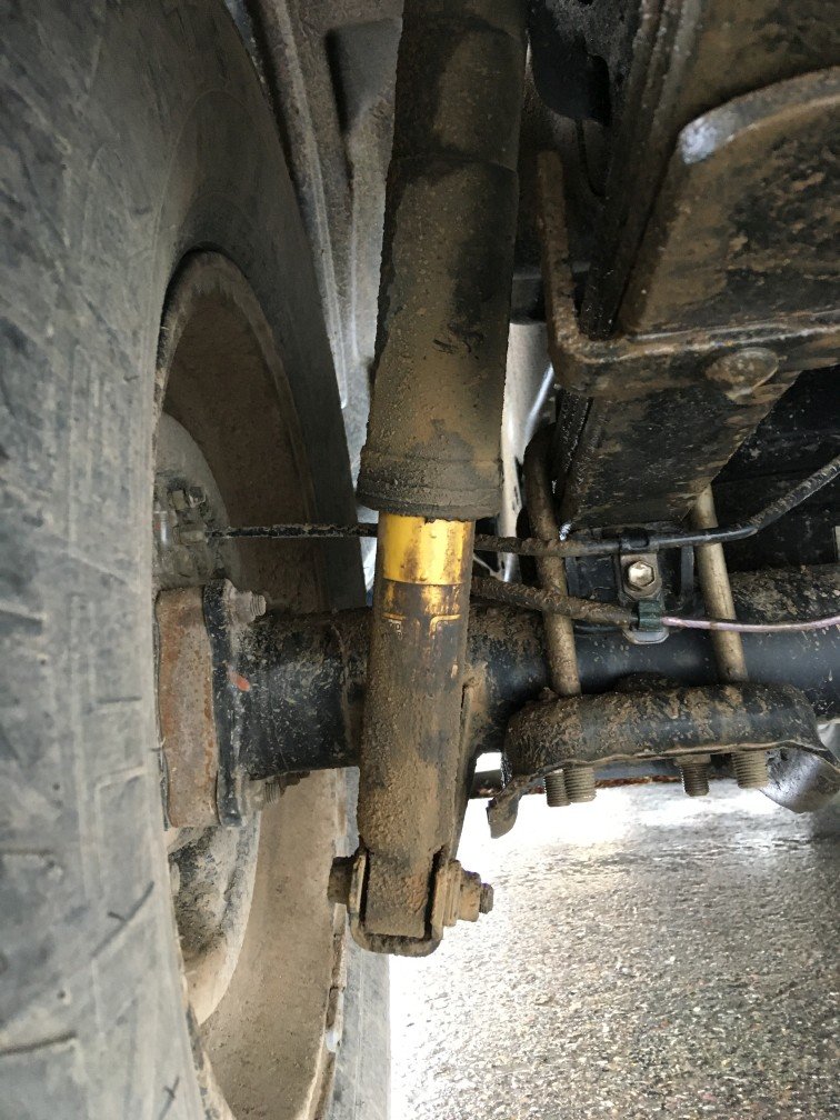 rearshocks.jpg