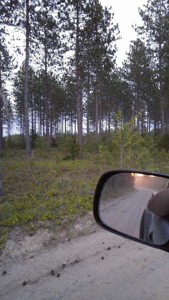 received_10207901930358850.jpg