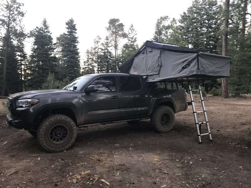 Recent truck.jpg