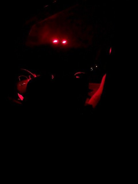 Red.jpg