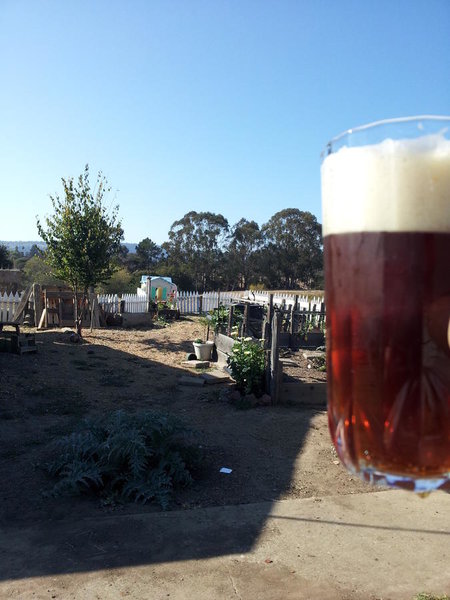 Red Sled Ale.jpg