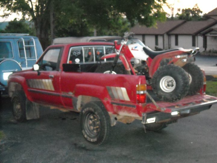 red1.jpg