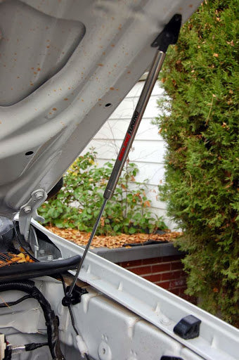redline-hood-strut_bb005d2b2858257ccaf60f44ebcad1d7680b5889.jpg