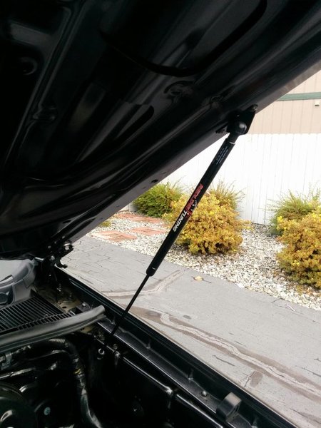 Redline Struts .jpg