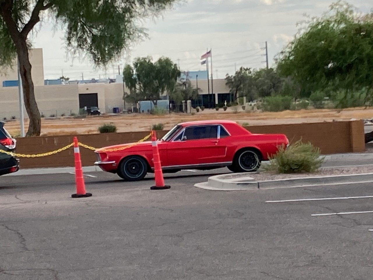 RedMustang.jpg