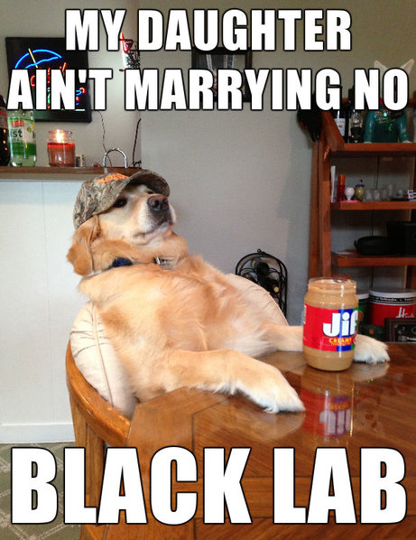 redneck-dog-meme.jpg