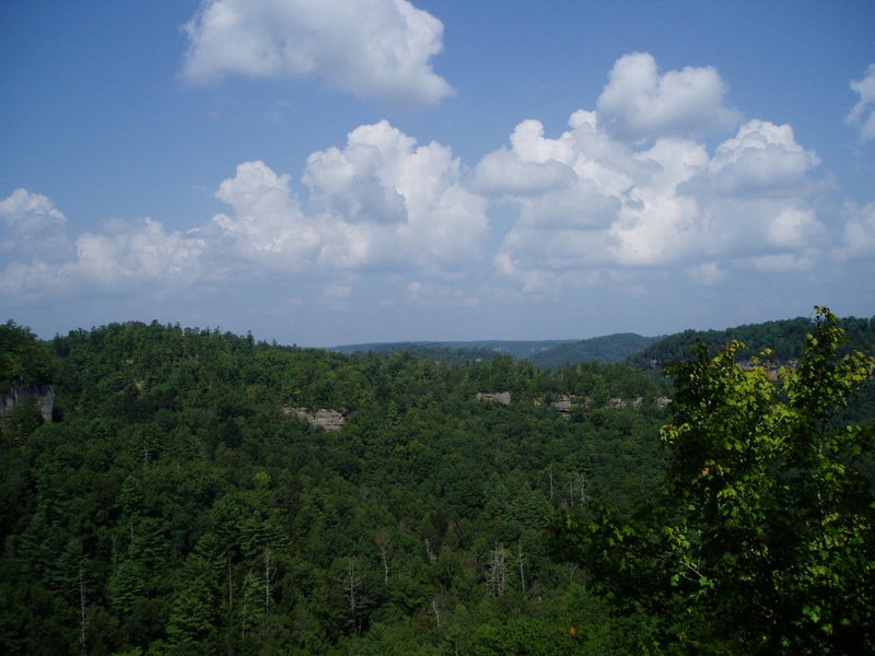 redriver907 007.jpg