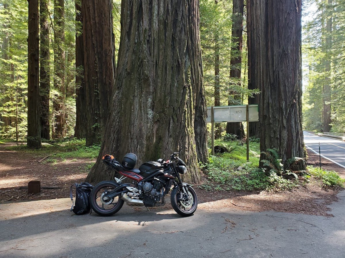 redwood bike.jpg