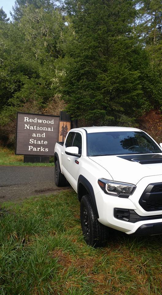 Redwood Park.jpg