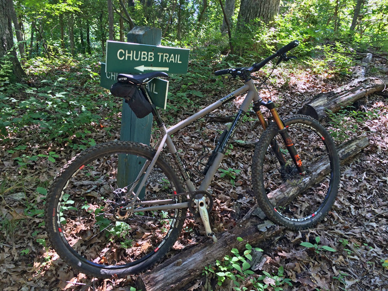 reeb.jpg