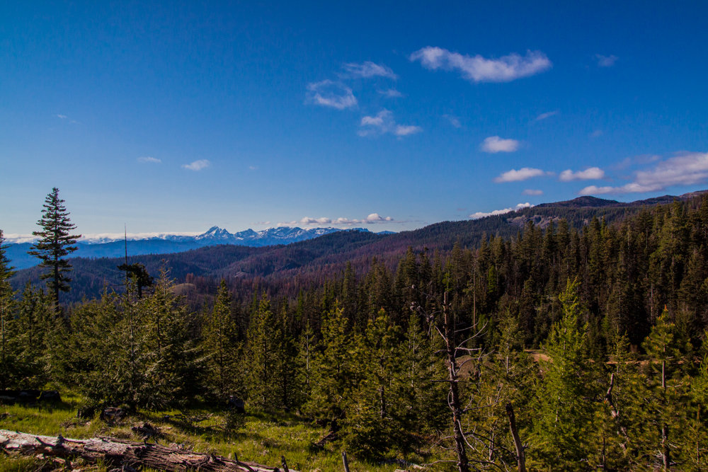 ReecerCreek-3_zpsc6b6f362_5048070b10bc9b06ae5f60c1a8a4027a26649cb8.jpg