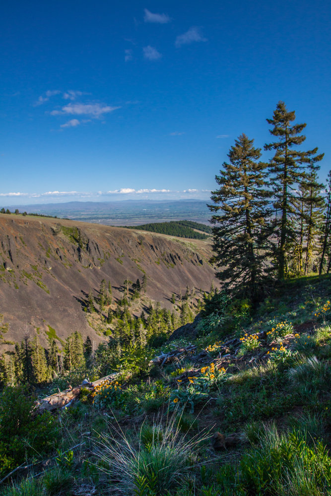 ReecerCreek-8_zpsaf29e727_56cc224ffd1b94d967cb7a0bc141079c6b0fb655.jpg