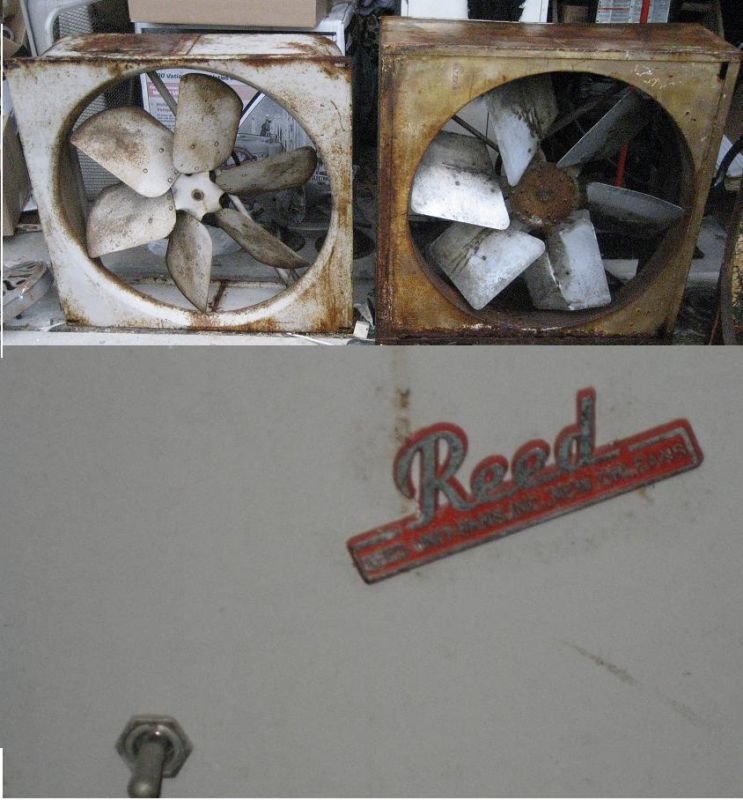 reed 003.jpg