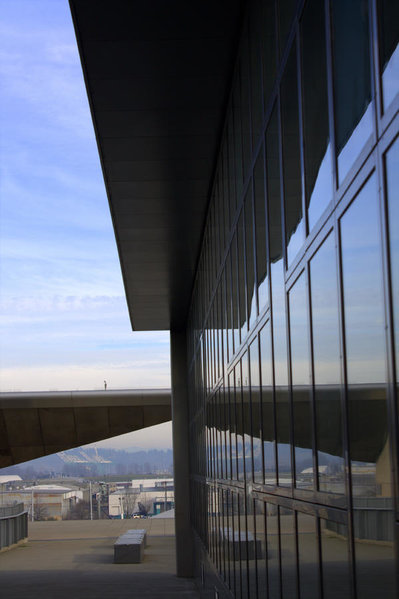 reflection8.jpg