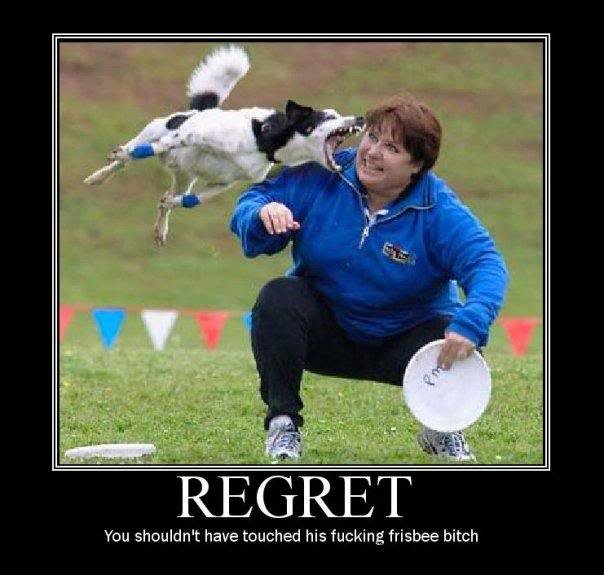 Regret_e775a8934c16d9c5881c79d727dc3a41dd81ce3b.jpg