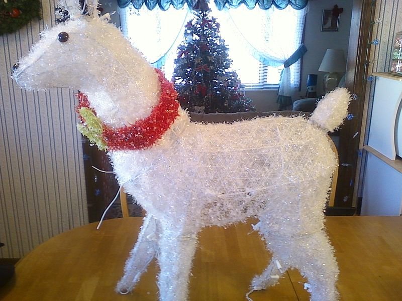 reindeer55.jpg