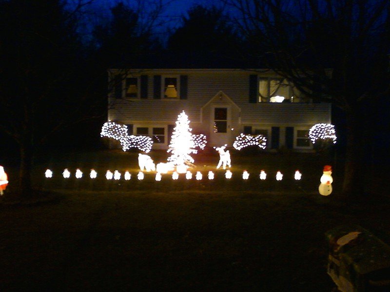 reindeerfrontyard.jpg