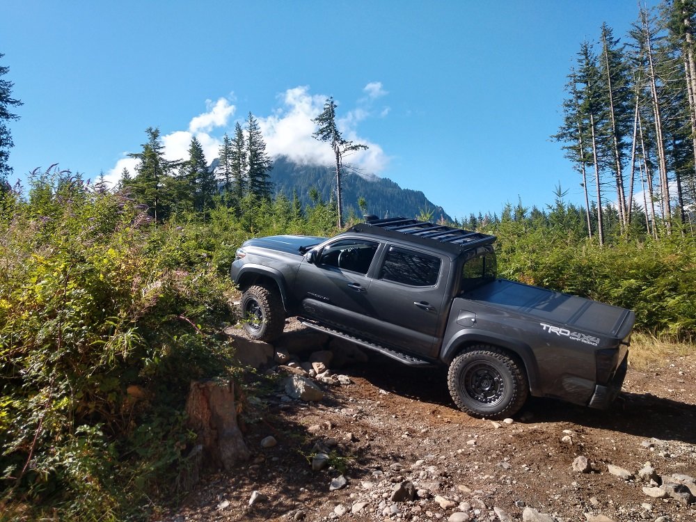 reiter-step-flex.jpg