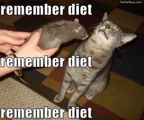 Remember_Diet887_ad7e02b9fd55c072ddae3ccc92d1037cebc84651.jpg