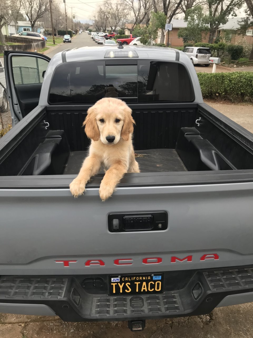 Remi.jpg