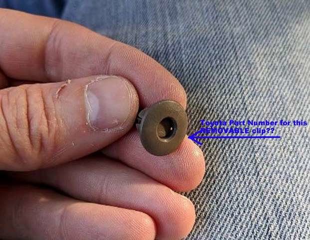 removable clip-2.jpg