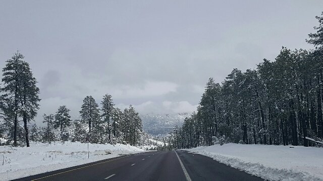 Resized_20170122_111642_resized.jpg