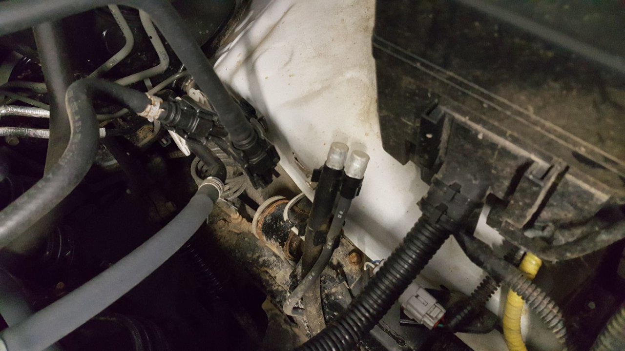 Resized_20180627_032352.jpg