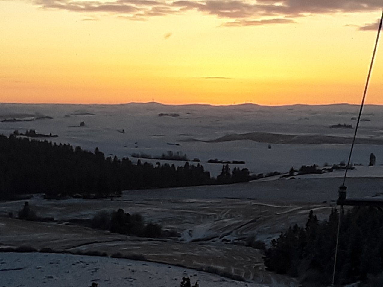 Resized_20190206_170541.jpg