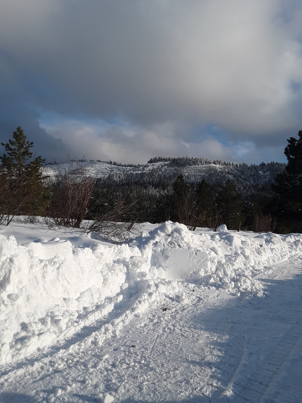 Resized_20190223_162505(1).jpg