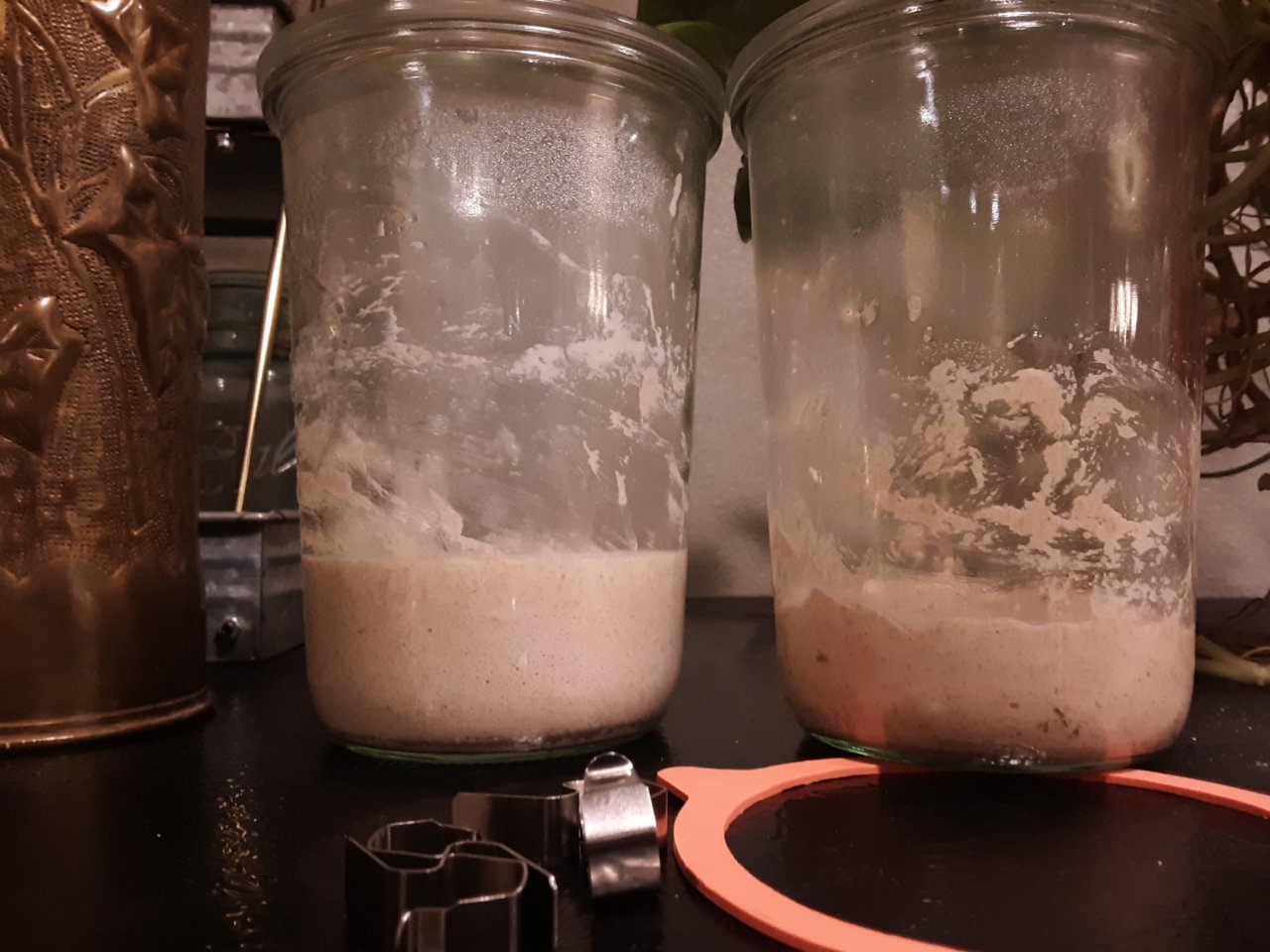 Resized_20190226_172835.jpg