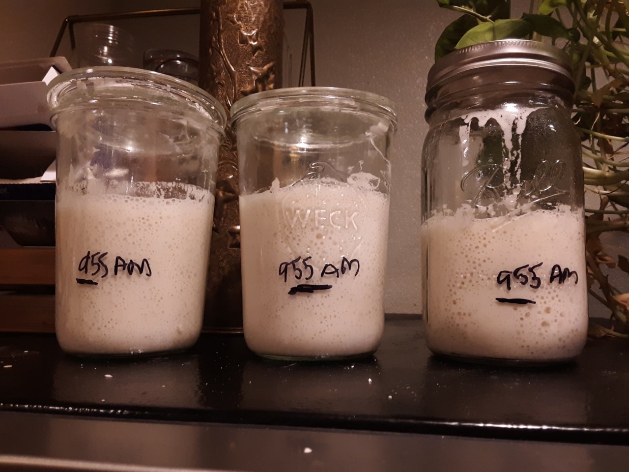 Resized_20190309_190542.jpg