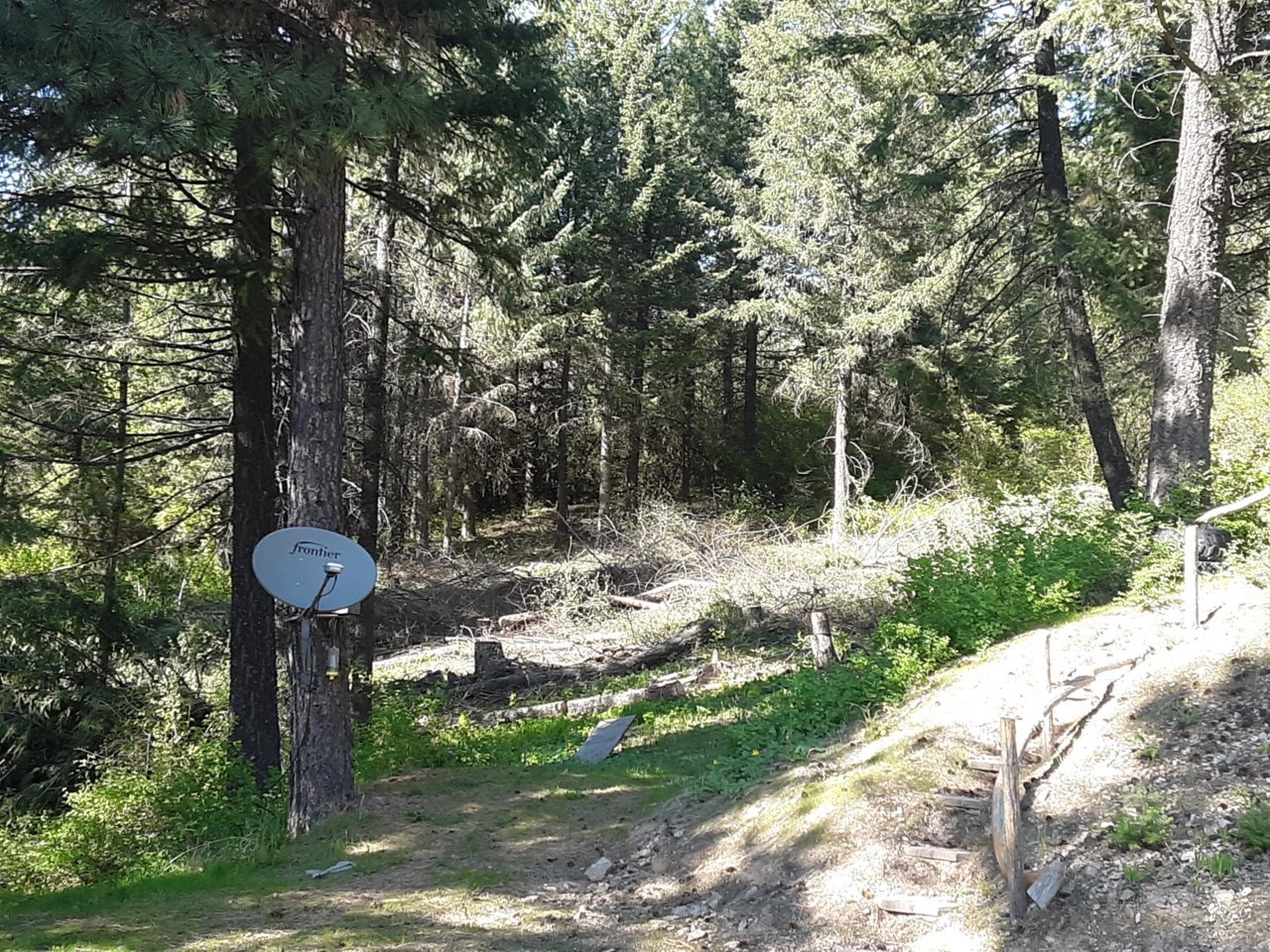 Resized_20190508_163305(3).jpg