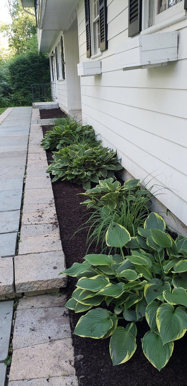 Resized_20190621_190148.jpg