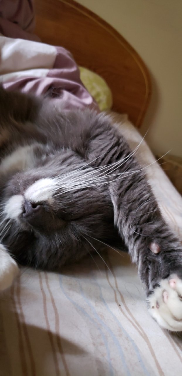 Resized_20190705_130759001.jpg