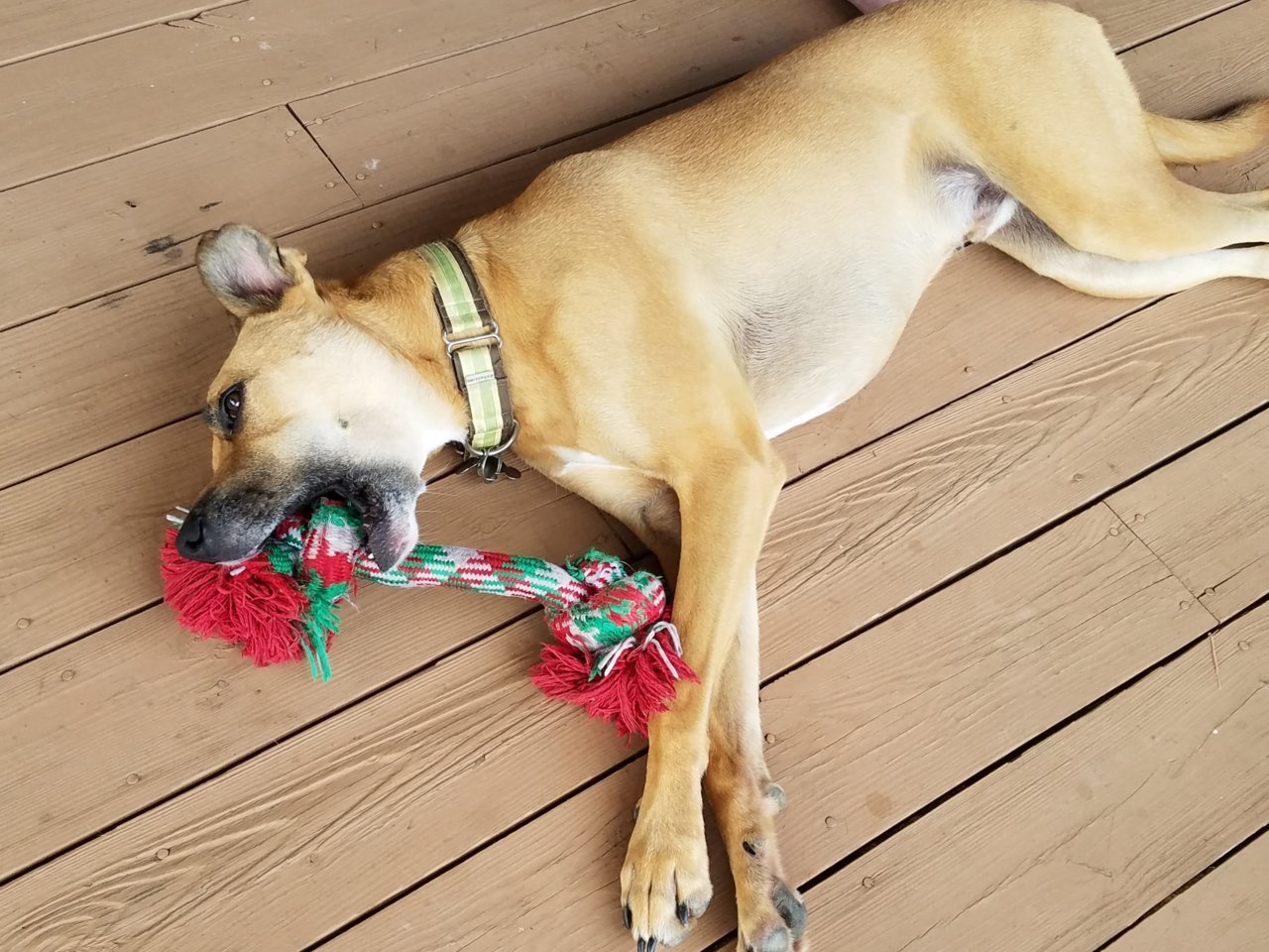Resized_20190718_173455001_4049.jpg