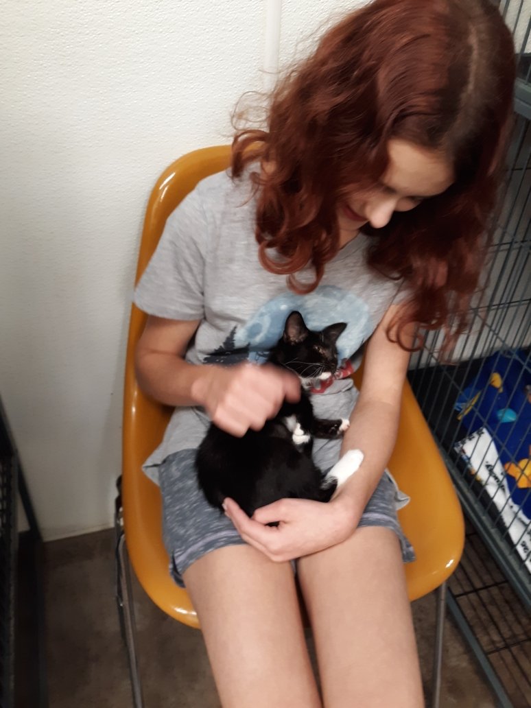 Resized_20190723_152314.jpg