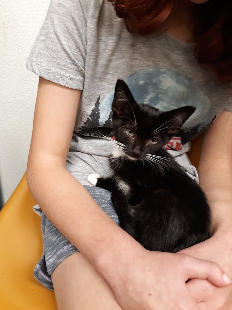 Resized_20190723_153815.jpg