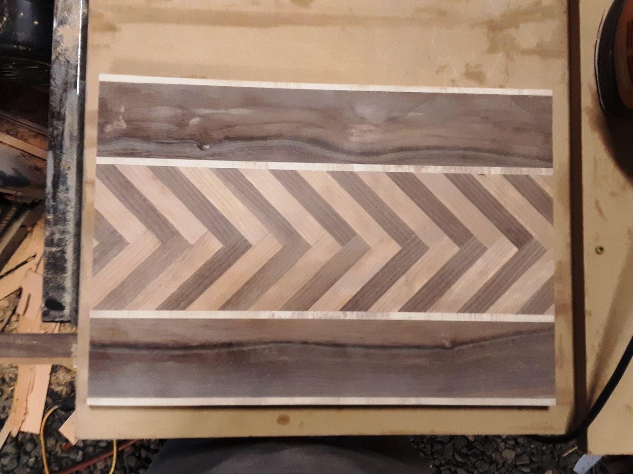 Resized_20190801_200955.jpg
