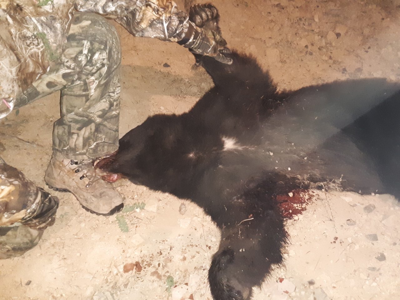 Resized_20190919_201348.jpg