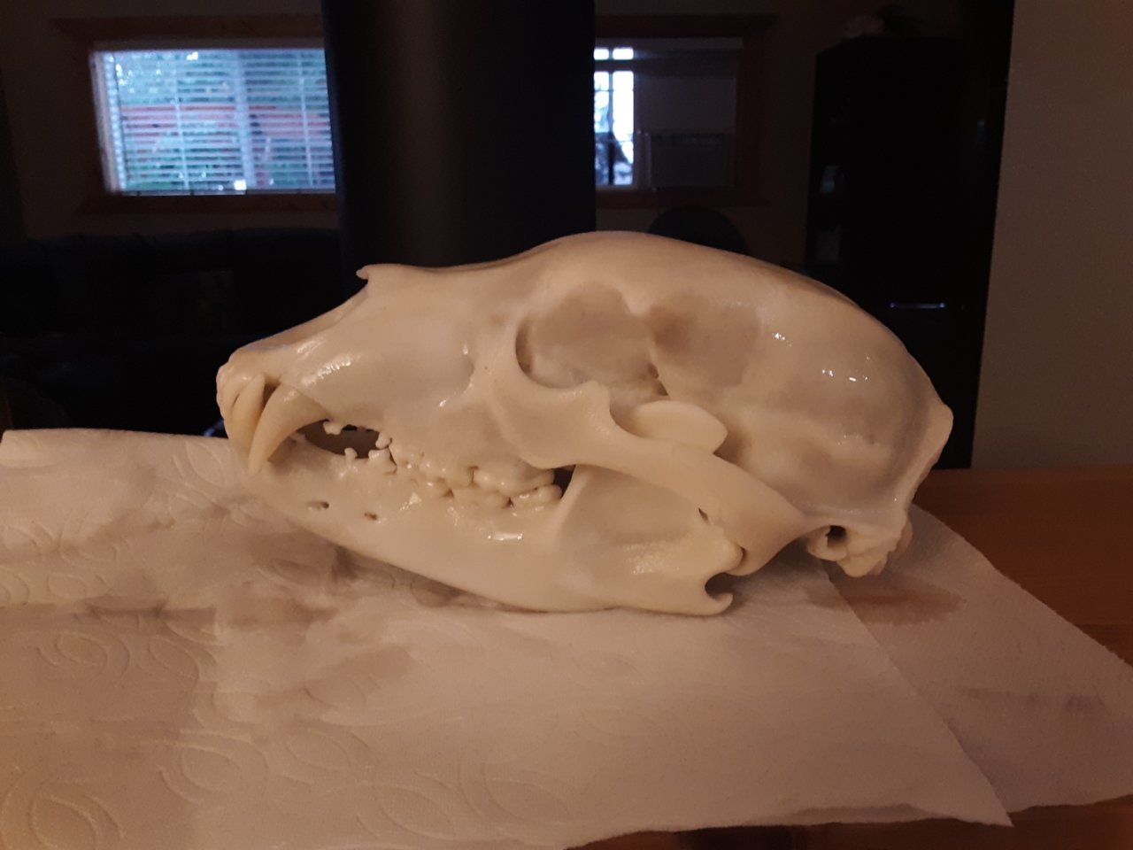 Resized_20190928_172813.jpg