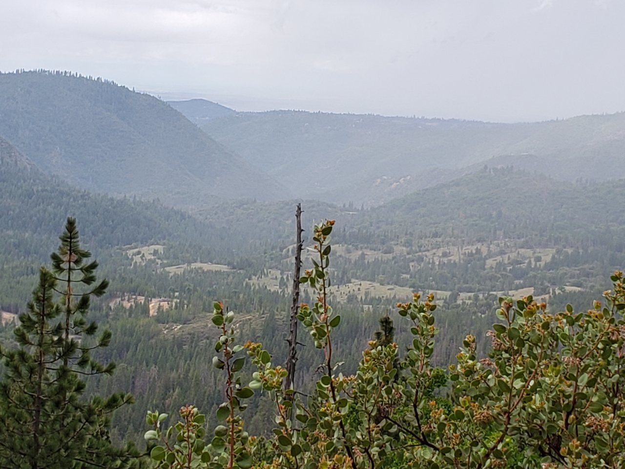 Resized_20200517_115156.jpg