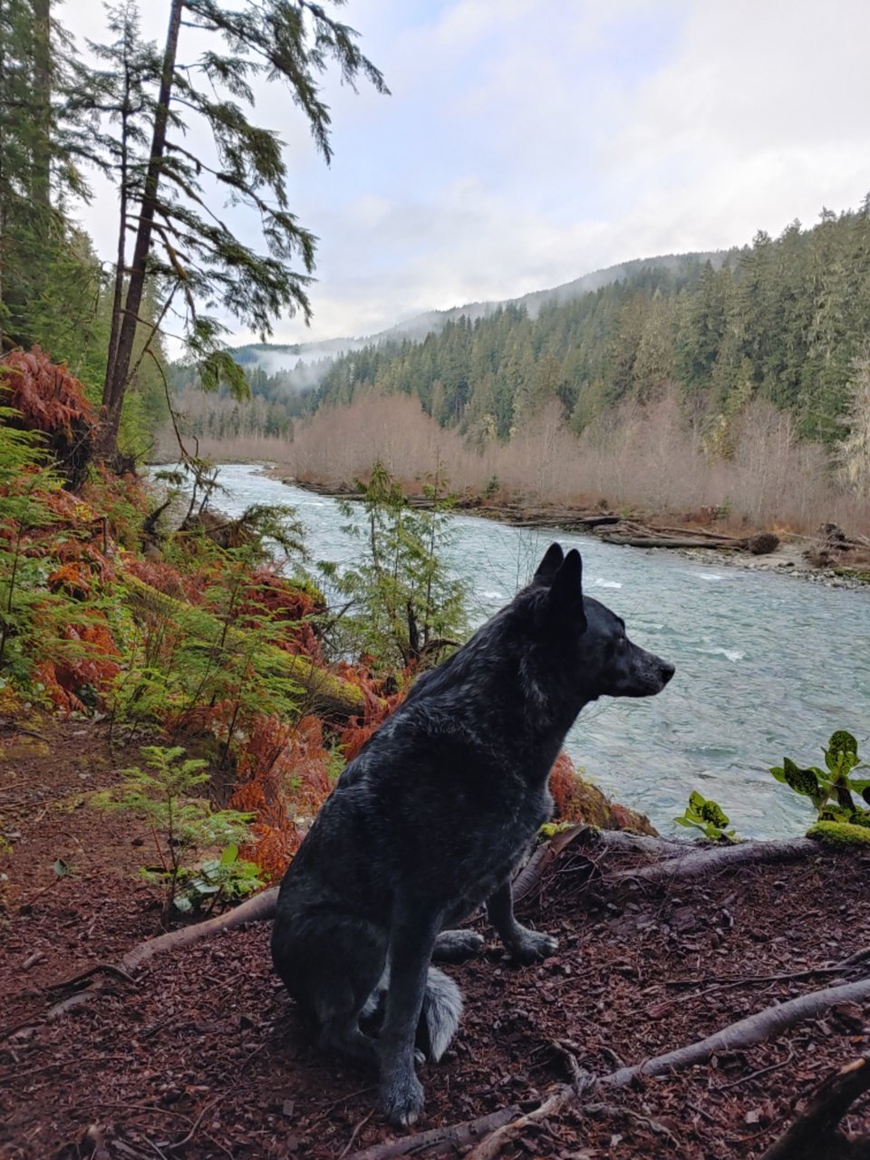 Resized_20210110_143751_HDR.jpg
