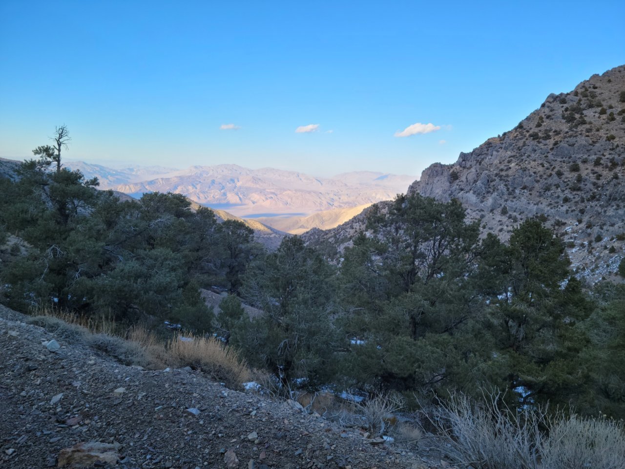 Resized_20220221_161916(1).jpg