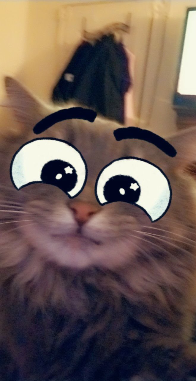 Resized_Snapchat-724505829.jpg