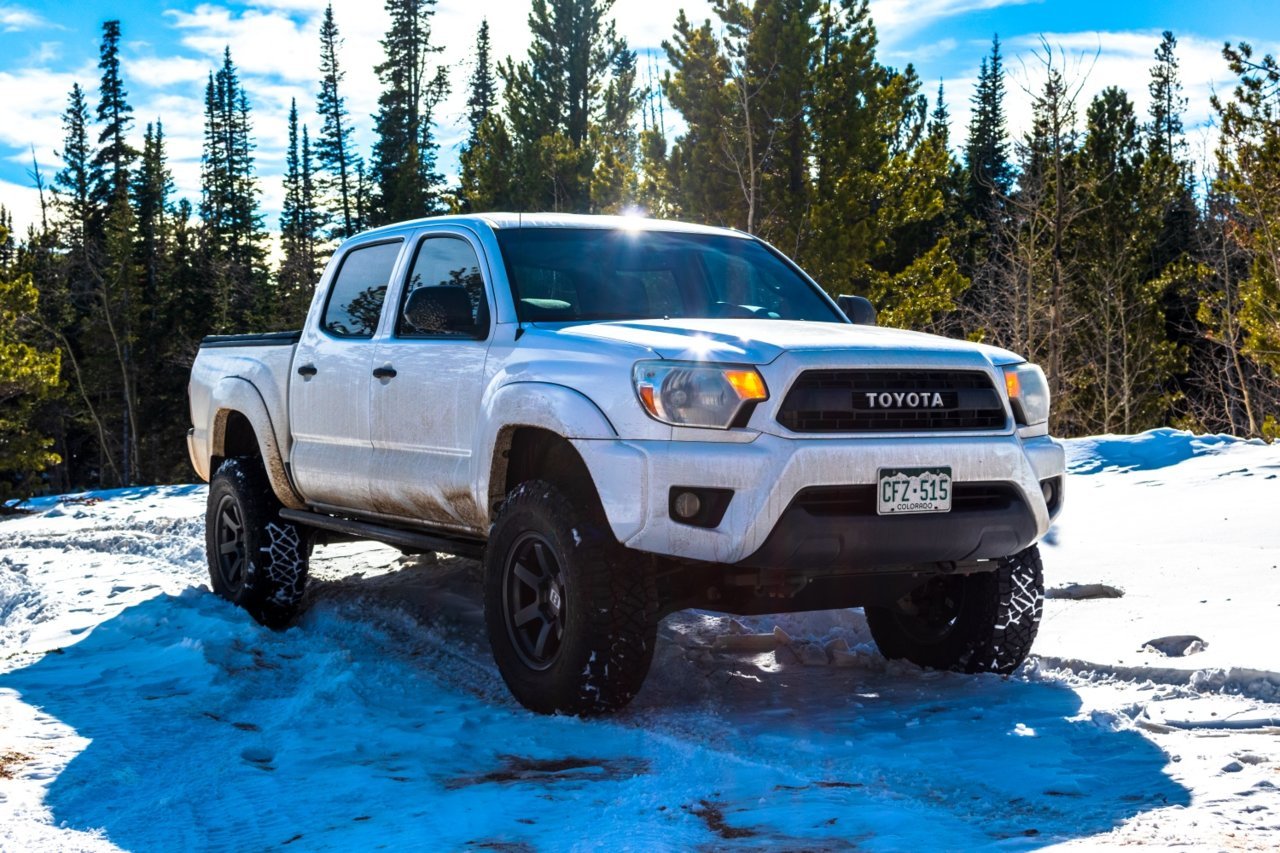 Resized_Taco_1.jpg