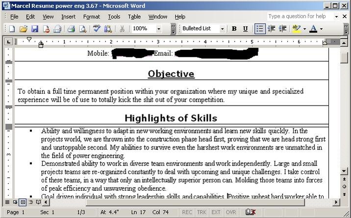Resume Sample.jpg